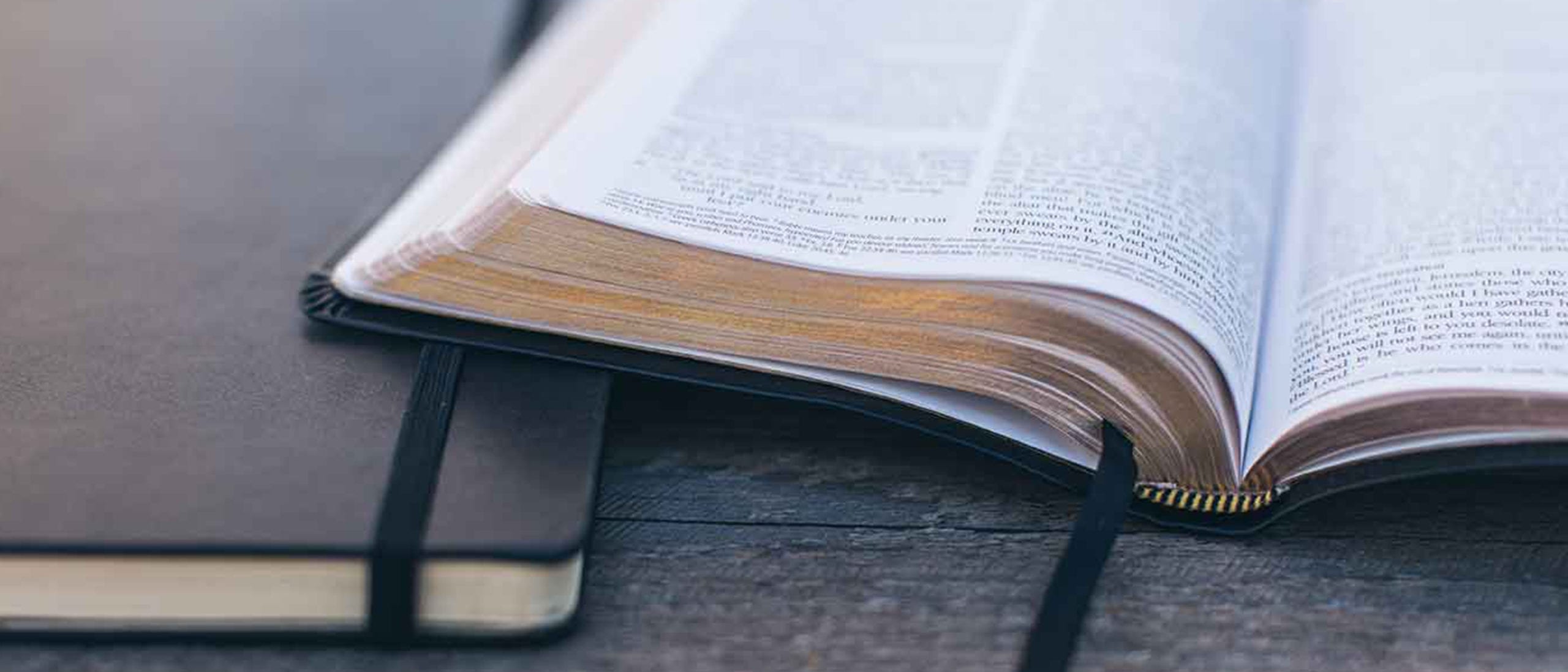 read-the-bible-in-a-year-moments-with-the-book