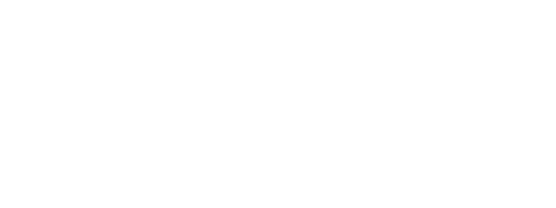 The Bridge Logo